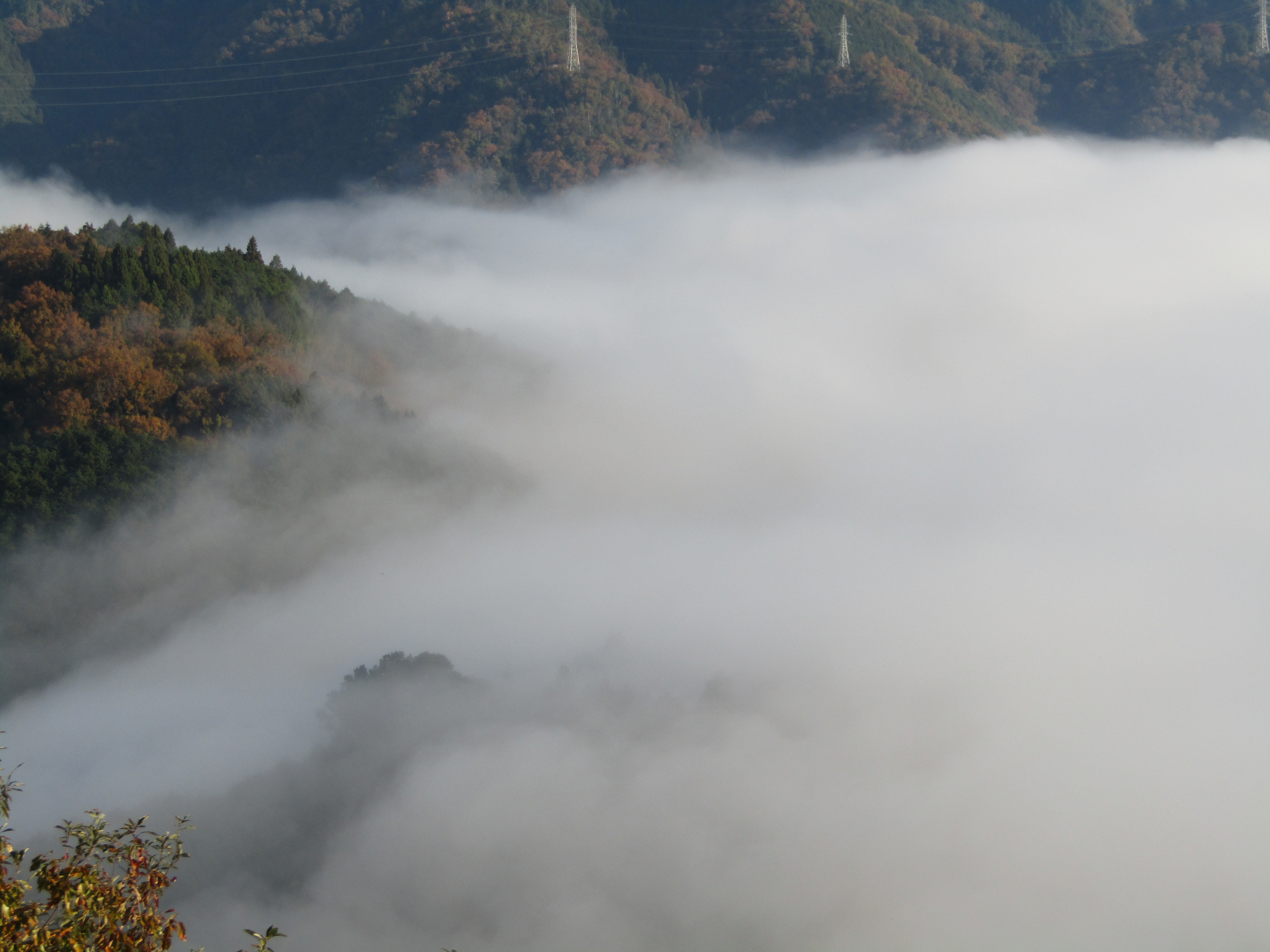 笠置山から見る雲海